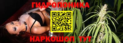 крисы Ливны