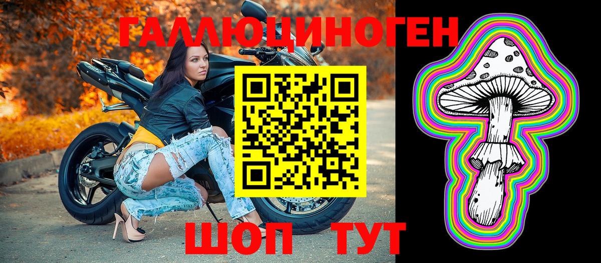 Тольятти  Псилоцибиновые грибы Psilocybine cubensis  Вход с VPN 