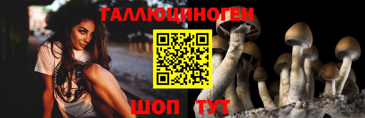 Галлюциногенные грибы мицелий Тольятти